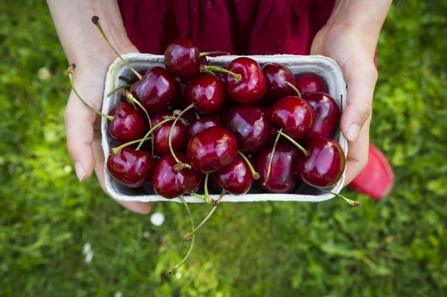 Girls hands dress holding cardboard box of cherries, close-up