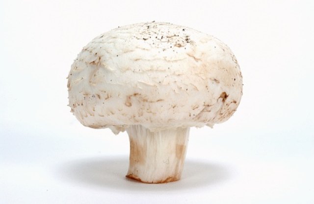 How to Cook Champignon Mushrooms