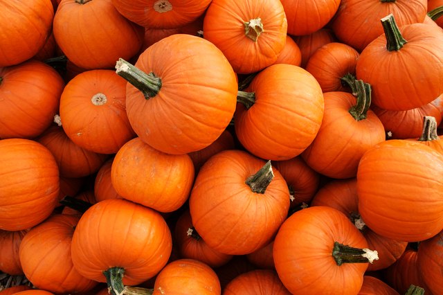 Is Canned Pumpkin Good For You? | Livestrong