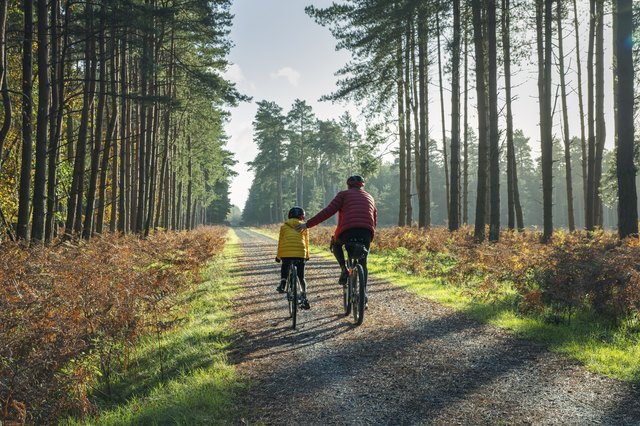 The 5 Best Affordable Gravel Bikes of 2023 livestrong