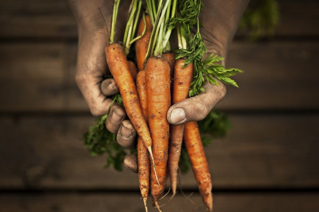 The Glycemic Index of Carrots | livestrong