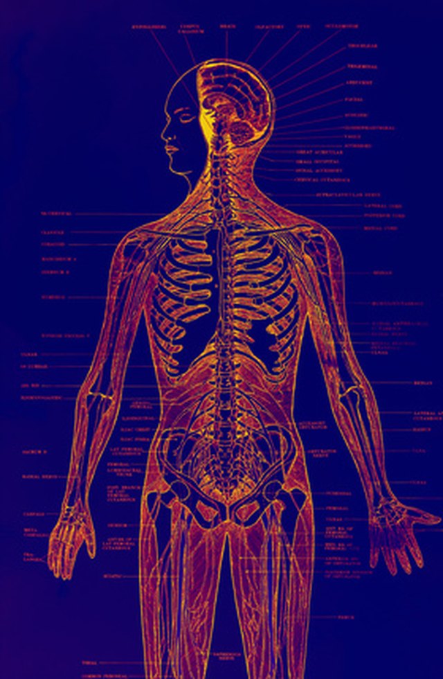 symptoms-for-when-you-have-too-much-potassium-in-your-body-livestrong