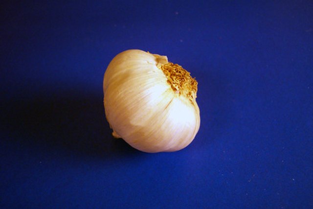 Causes of Garlic Body Odor | Livestrong.com