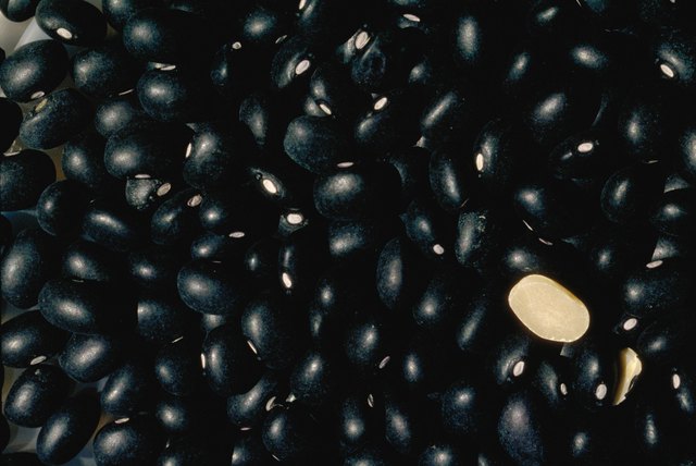 Pile of black beans