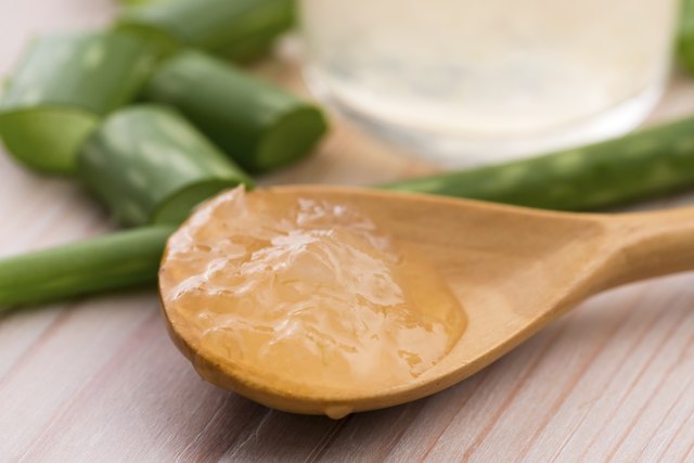 aloe vera juice with fresh leaves
