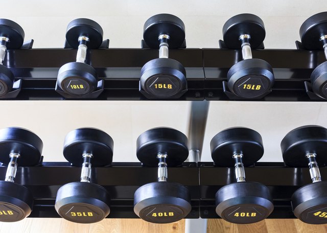 Dumb bells lined up in a fitness
