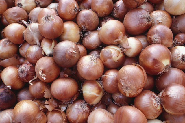 Onions, Israel