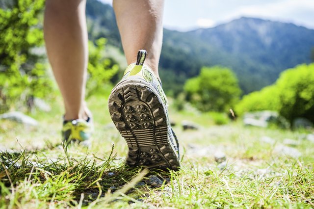 Walking legs on green grass in mountains