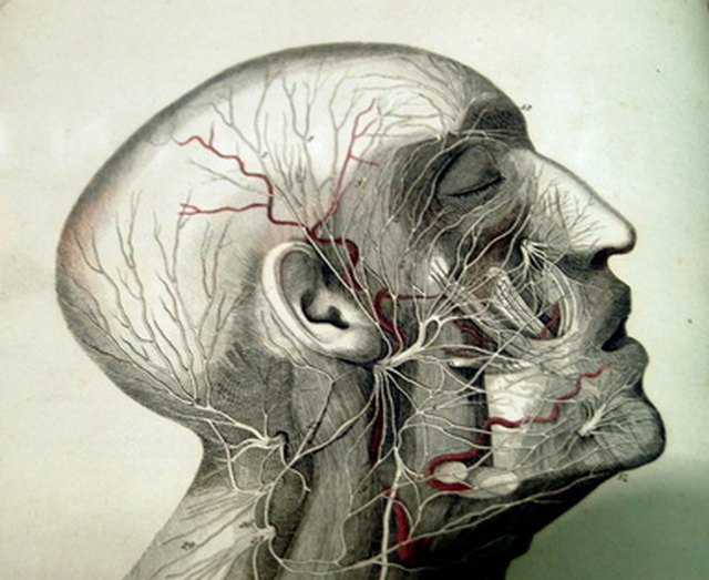 causes-of-head-numbness-livestrong