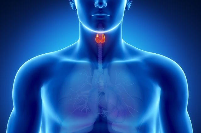 Living With Hypothyroidism  - cover