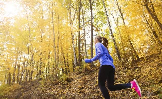 Active and sporty woman runner in autumn nature
