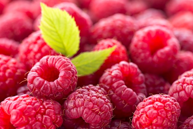 Ripe red raspberries
