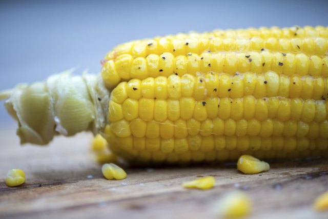 Series: Chocolate Sunrise Corn