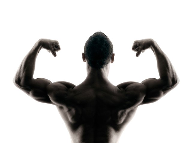 body buiding man isolated