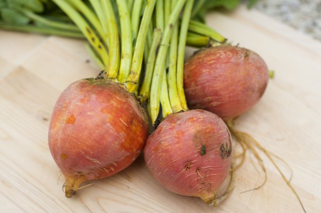 Farm-Fresh Golden Beets