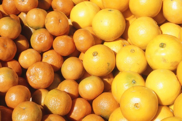 Oranges and grapefruits, Tel Aviv, Israel