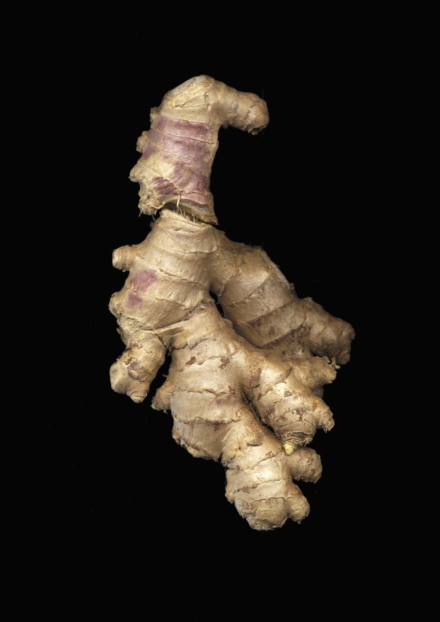 Ginger root (Zingiber officinale) on black background