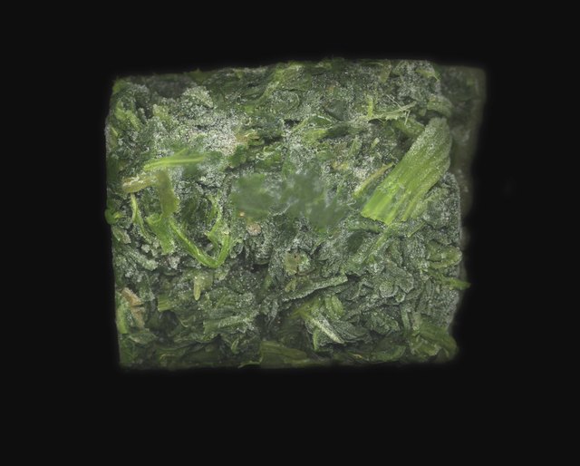 Frozen block of spinach