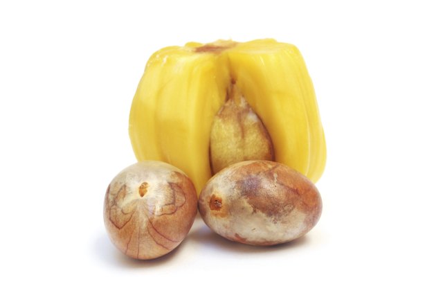 seeds of jackfruit