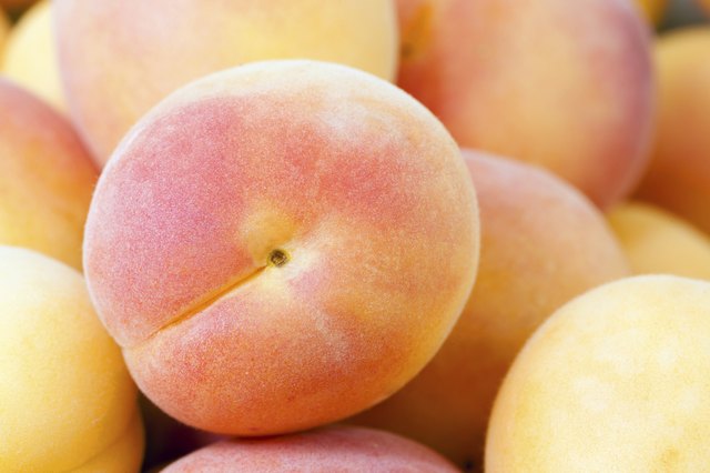 ripe apricots