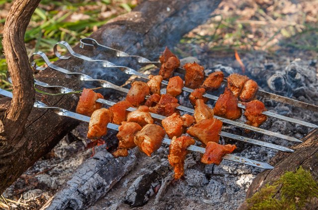 Grilled meat (shashlik) on camp fire