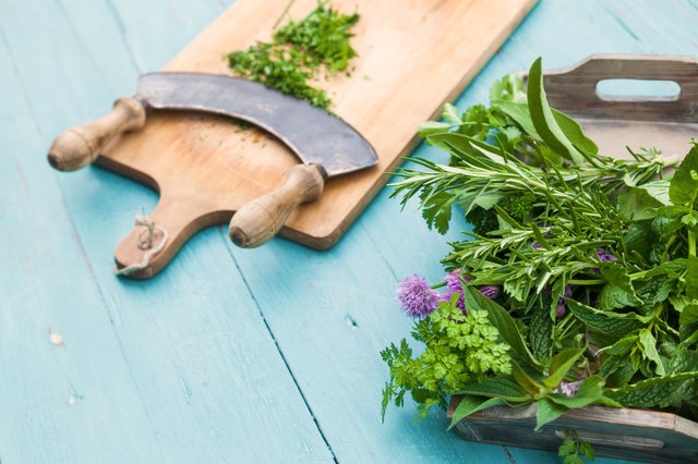 chopper with herbs on a wooden cutboard