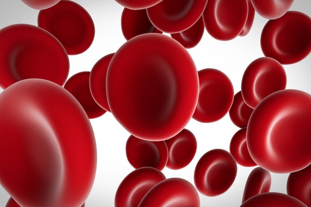 red blood cells