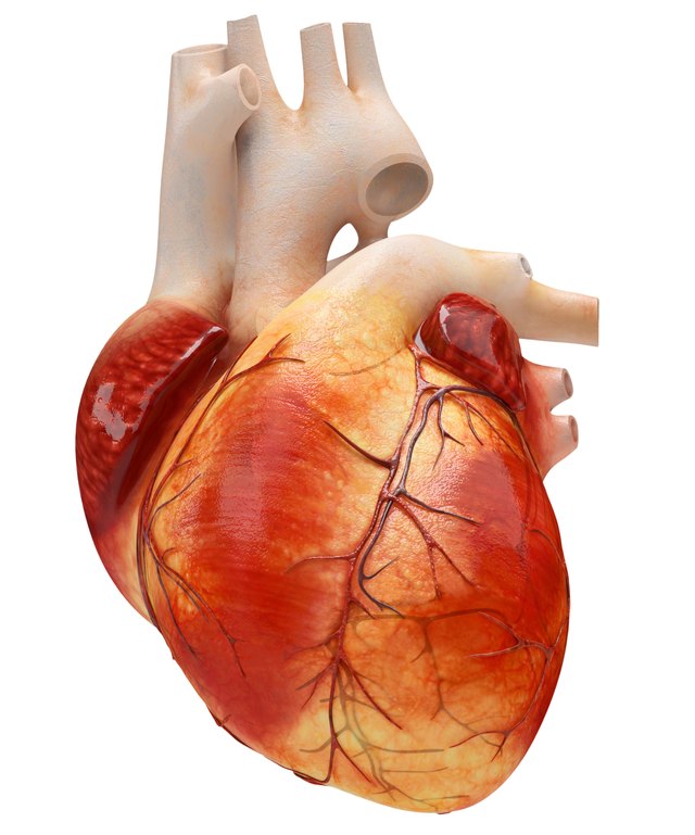 Three-Vessel Coronary Disease | Livestrong.com