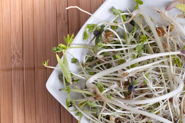 beansprouts in a bowl