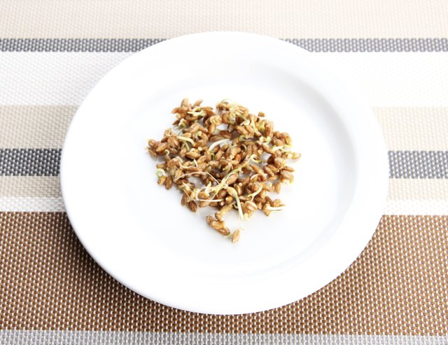 Wheat germs on plate, close up
