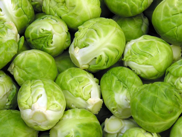 Brussel sprout