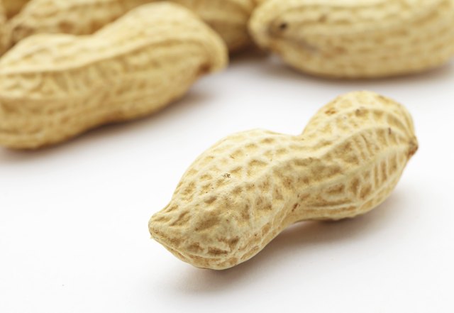 Peanut