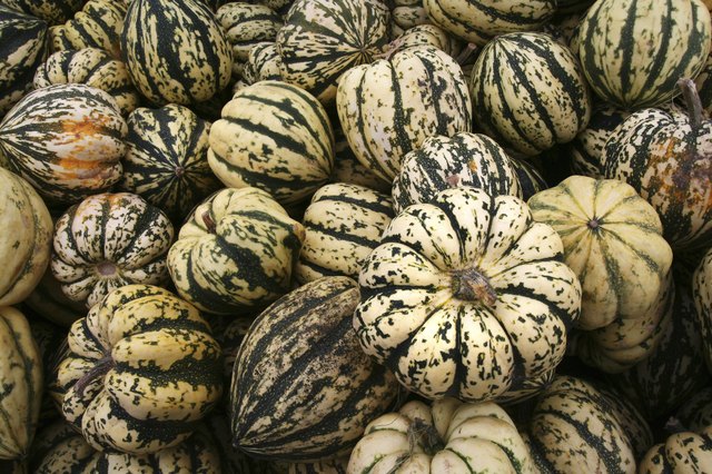 Green and White Gourds