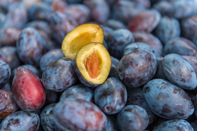 Fresh plums