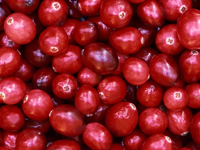 A close-up texture of cranberries
