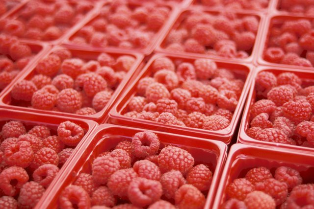 Containers of raspberries