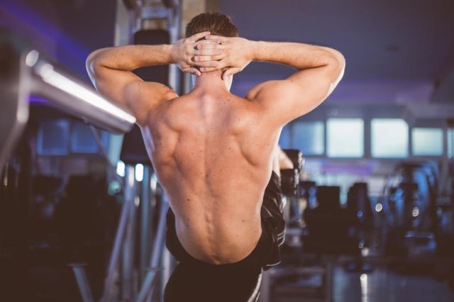Attractive athletic back of young man doing incline bench sit-up exercise in indoor well equiped gym.