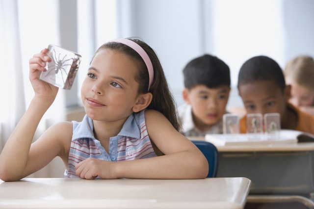 Hispanic girl looking at spider specimen in plastic