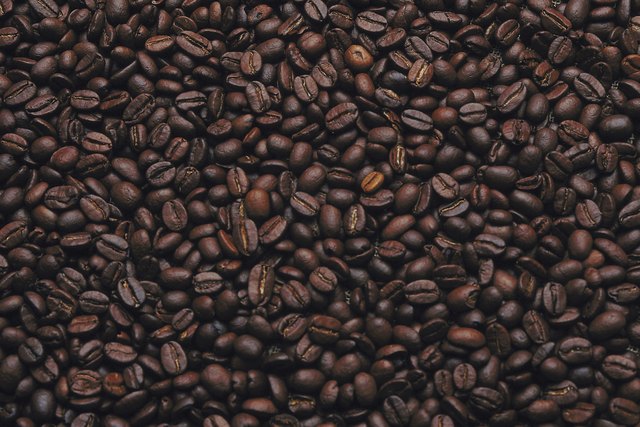Fresh coffee beans