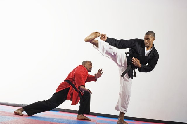 Two men doing martial arts