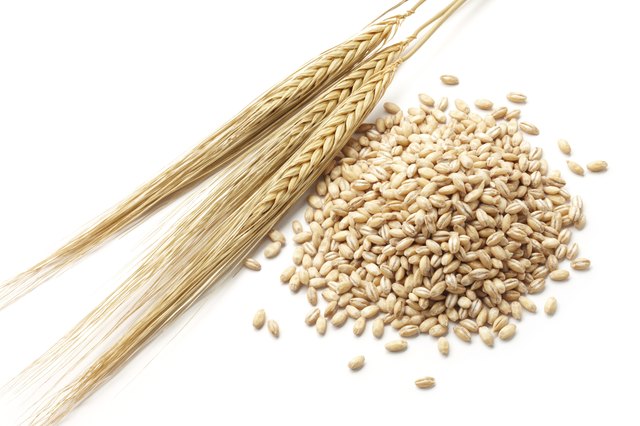 barley with grains