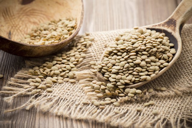 Lentil.