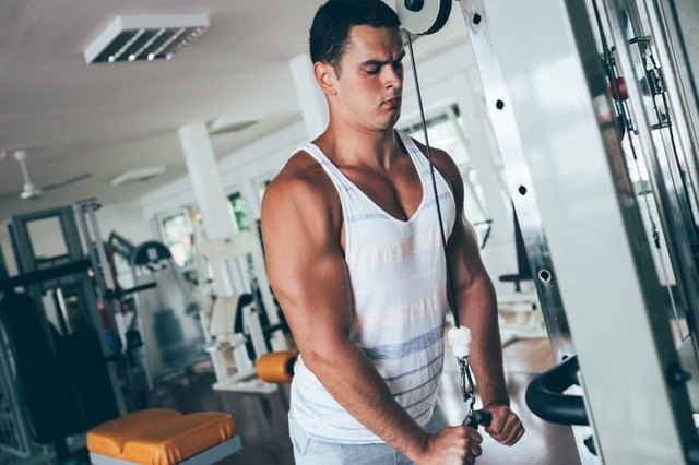 Young attractive adult man exercising and doing weight lifting at fitness gym. Sport training indoors.