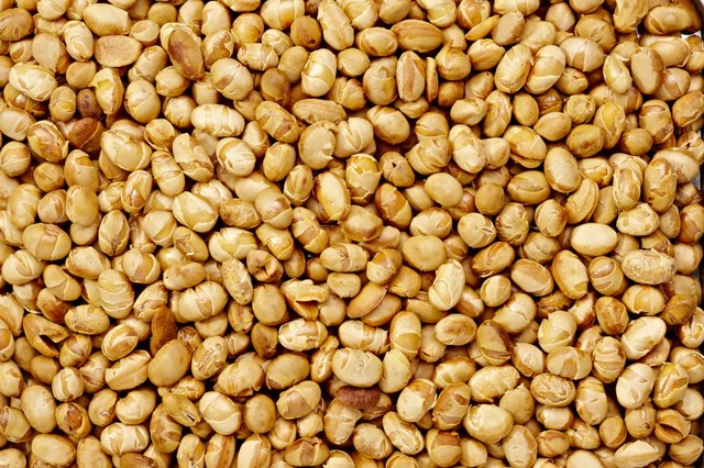Soy nuts