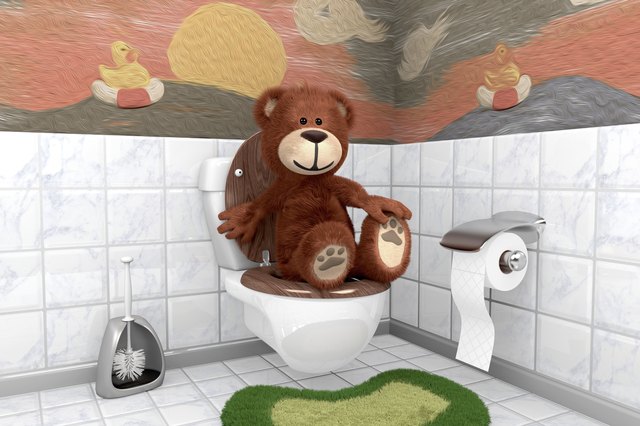 Teddybär auf Kloschüssel