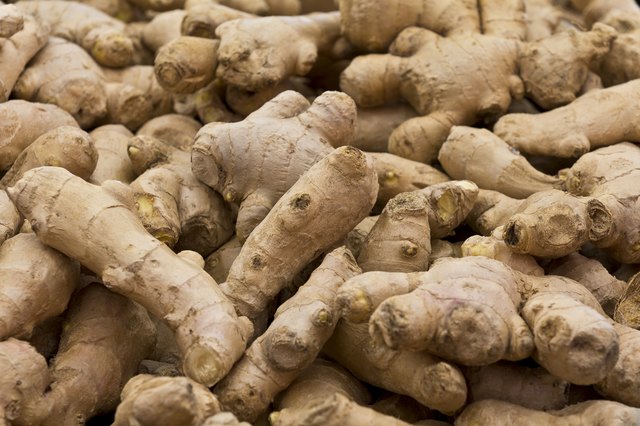 Ginger