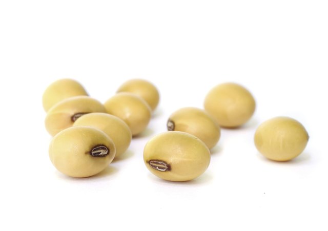 soy bean.