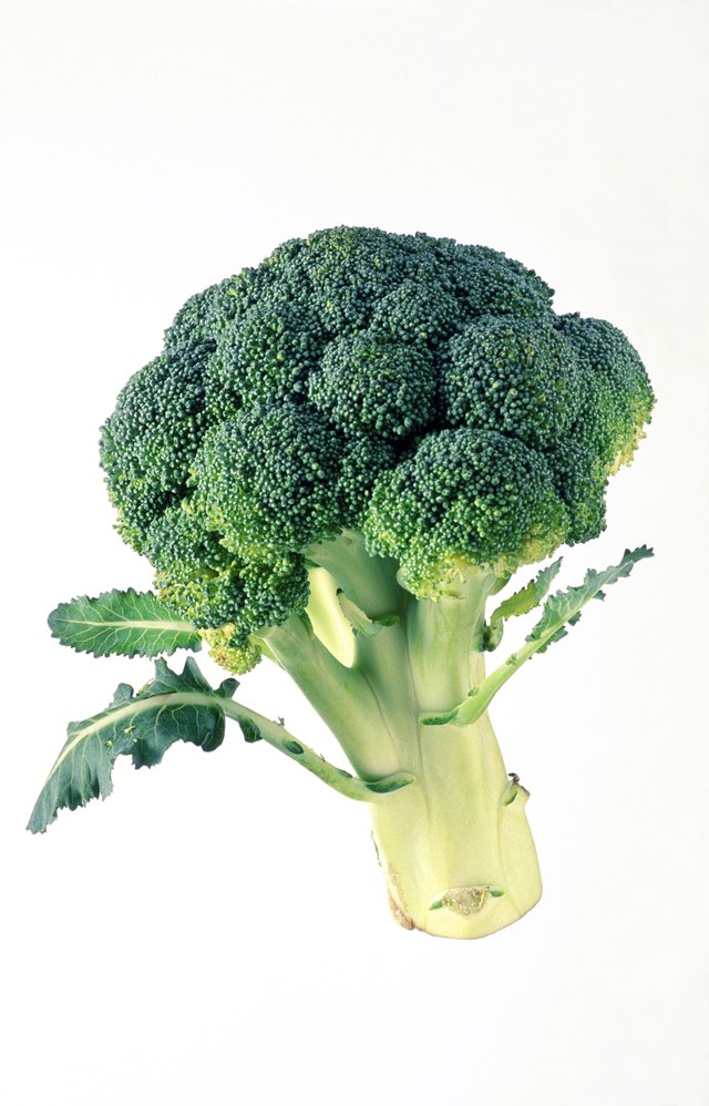 Broccoli & High Calcium Foods | Livestrong.com