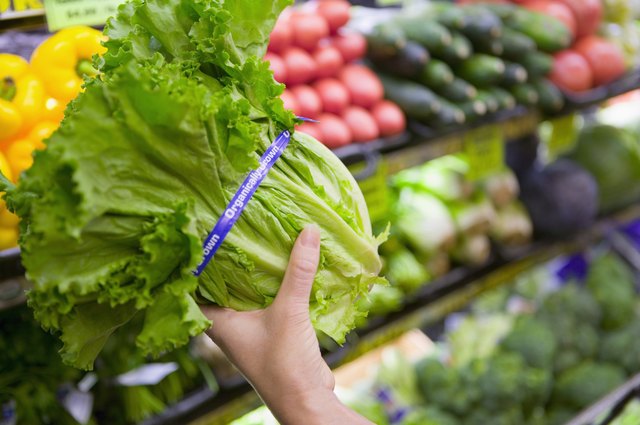 Person holding fresh lettuce