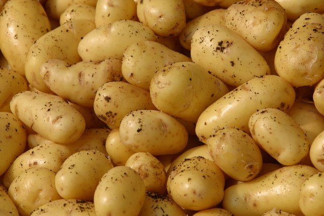 Starch and Glucose in Potatoes | livestrong